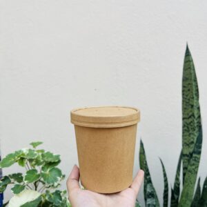 500ML KRAFT TUB- pack of 10pc