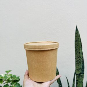 750ML KRAFT TUB- pack of 10pc