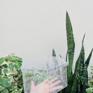 8” PHOOL ACRYLIC SPACER