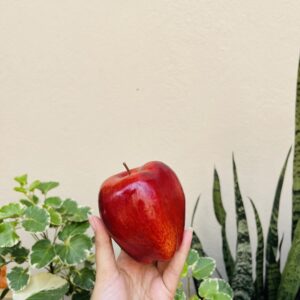 ARTIFICIAL APPLE- HAMPER/ CAKE DECOR