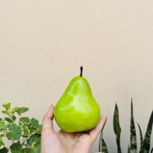 ARTIFICIAL PEAR- HAMPER/ CAKE DECOR