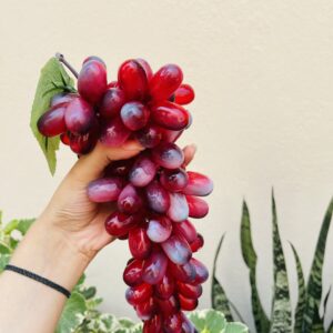 ARTIFICIAL RED GRAPE- HAMPER/ CAKE DECOR