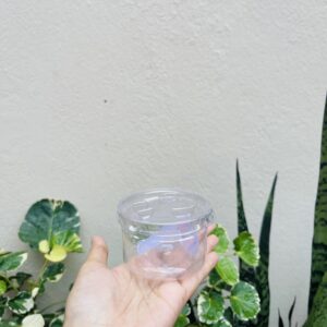 125ML PET CONTAINER WITH SPOON- ( pack of 10pcs)