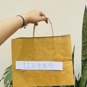 KRAFT BAG PACK OF 10pcs- 11*9*9 (1lb bag)