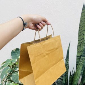 KRAFT BAG PACK OF 10pcs-9*6*8 inches (1/2lb bag)
