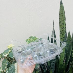 6 CAVITY BOX WITH HANDLE- PACK OF 10PCS