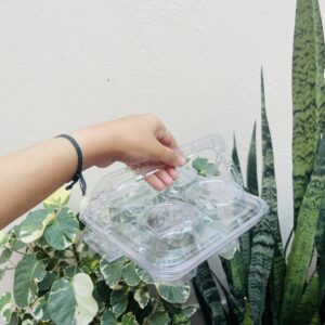 4 CAVITY BOX WITH HANDLE- PACK OF 10PCS