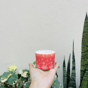 SMALL CHRISTMAS  DIE CUT CUP- 50PCS