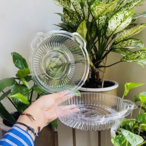 6” DRY CAKE BOX- PACK OF 10PCS