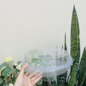 DRY CAKE BOX (SIZE-8.5*3”) - pack of 5pcs