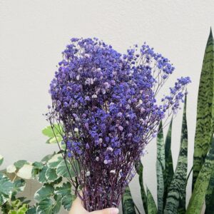 DRIED GYPSY- Full bunch