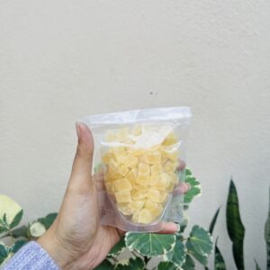 PINEAPPLE BITS- 100G