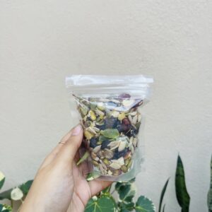 PUMPKIN SEEDS- 100G