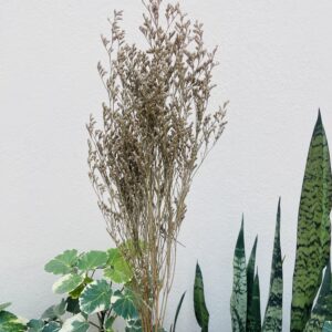 DRIED FILLER FOR CAKES AND HAMPERS