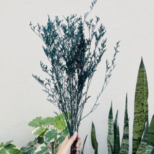 DRIED FILLER FOR CAKES AND HAMPERS