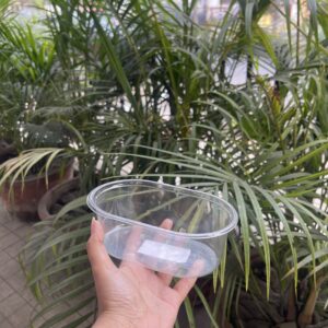 DESSERT TUB- pack of 10pcs (SIZE- 5*2.5”) without lid