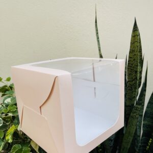 10/10/9 L WINDOW BOX PEACH- Pack of 5pc