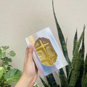 6 CAVITY CHOCOLATE BOX PRISM SILVER- pack of 10pcs