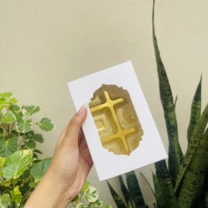 6 CAVITY CHOCOLATE BOX WHITE- pack of 10pcs