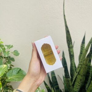 2 CAVITY CHOCOLATE BOX WHITE-pack of 10pcs