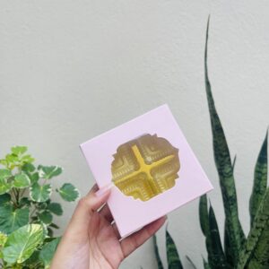 4 CAVITY CHOCOLATE BOX PINK- pack of 10pcs