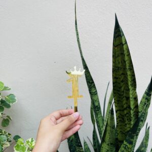 1 NUMBER TOPPER 5”