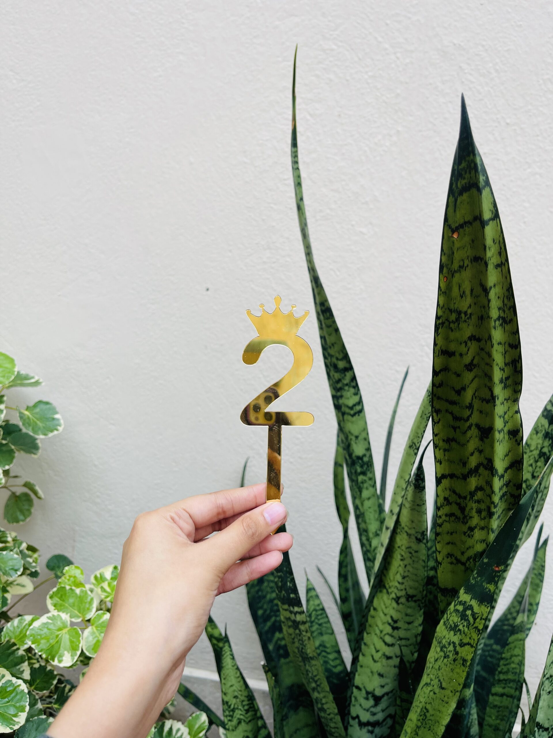 2 NUMBER TOPPER 5” – Decorate It Kolkata