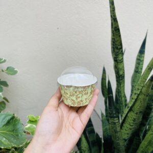 CUPCAKE LINER WITH LID- pack of 100pcs