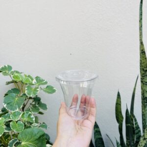 MOUSSE CUP-200ml ( Pack of 10pcs)
