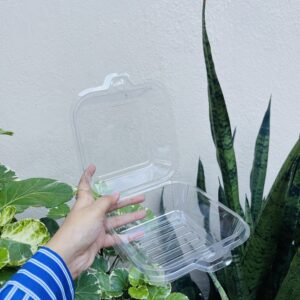 TRANSPARENT BENTO BOX- pack of 10pcs