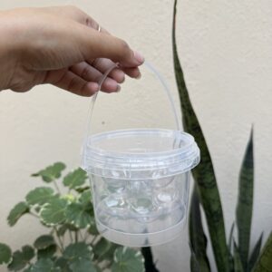 TIRAMISU BALLS TUB WITH CAVITY- pack of 5pcs