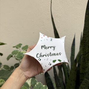 CHRISTMAS STAR BOX - pack of 10pcs