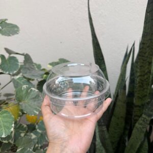 ROUND DESSERT TUB (4/2.75) - PACK OF 10 PCS