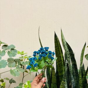 ARTIFICIAL FLOWER - 111