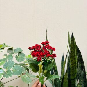 ARTIFICIAL FLOWER - 114