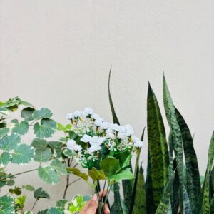 ARTIFICIAL FLOWER - 123