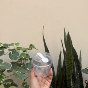 150ML DESSERT CONTAINER WITH SPOON - PACK OF 10 PCS