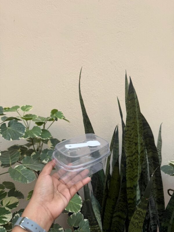 Spoon Container Rectangular 300ML RECTANGLE DESSERT CONTAINER WITH SPOON – PACK OF 10 PCS ...