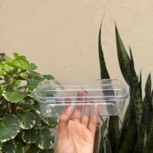 LONG RECTANGLE DESSERT TUB - PACK OF 10 PCS