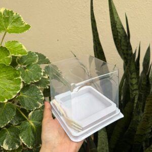 SQUARE BOX WITH FORK - PACK OF 10 PCS