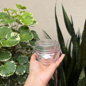 ACRYLIC KATORI TUB WITH LID - PACK OF 10 PCS