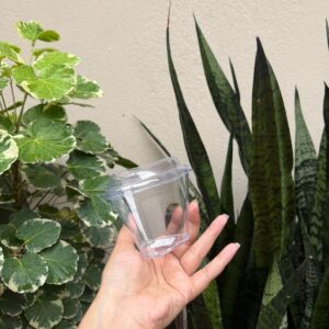 TRIANGLE MOUSSE CUP WITH LID - PACK OF 10 PCS