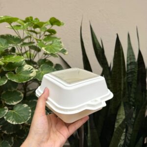 WHITE BENTO BOX WITH WINDOW - (4/4/3.75") - PACK OF 10 PCS