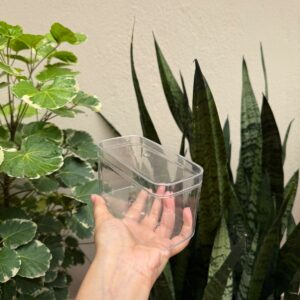 ACRYLIC BIG RECTANGLE DESSERT TUB - (4.75/2.5/2.75") - PACK OF 10 PCS