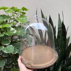 CLOTCH/DOME MEDIUM - 1PC (COLOURS GIVEN AS PER AVAILABILITY)