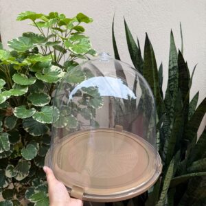 CLOTCH/DOME LARGE - 1PC (COLOURS GIVEN AS PER AVAILABILITY)
