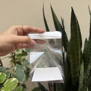 VIRAL CLEAR COOKIE POUCH ( 3.5/3.5/6.5” approx) - pack of 10pc
